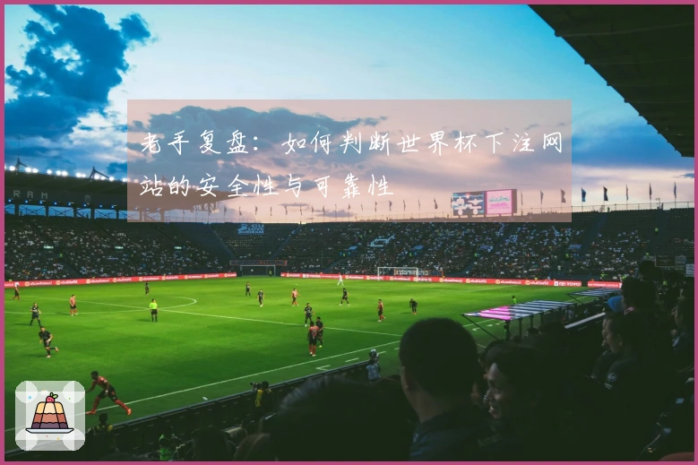 老手复盘：如何判断世界杯下注网站的安全性与可靠性