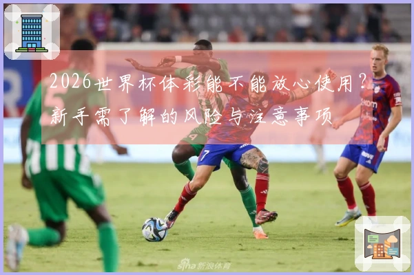 2026世界杯体彩能不能放心使用？新手需了解的风险与注意事项