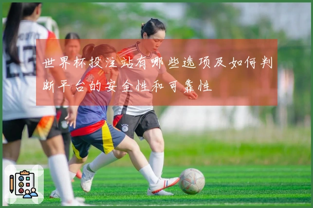 世界杯投注站有哪些选项及如何判断平台的安全性和可靠性