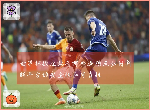 世界杯投注站有哪些选项及如何判断平台的安全性和可靠性