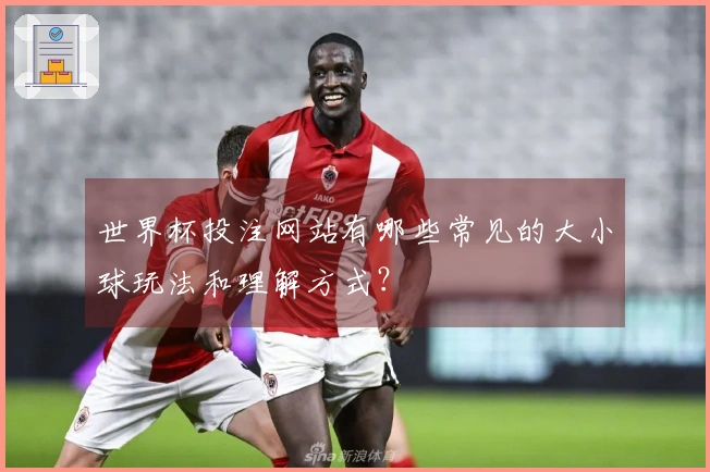世界杯投注网站有哪些常见的大小球玩法和理解方式？