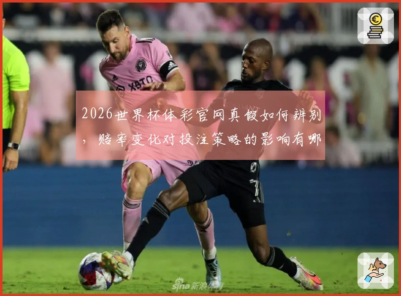 2026世界杯体彩官网真假如何辨别，赔率变化对投注策略的影响有哪些？