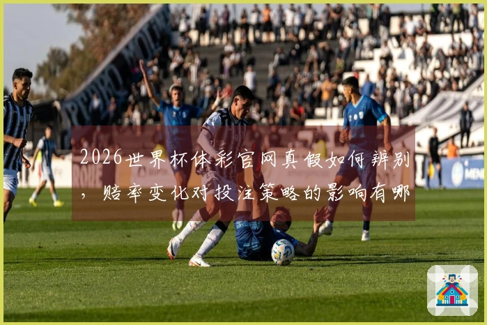 2026世界杯体彩官网真假如何辨别，赔率变化对投注策略的影响有哪些？