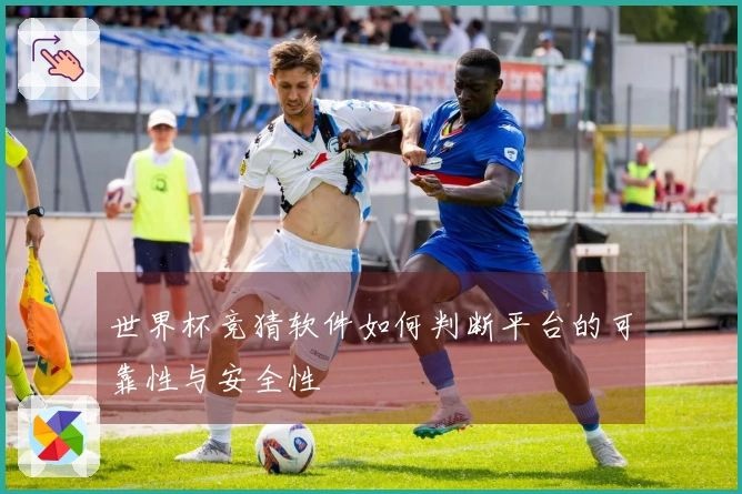世界杯竞猜软件如何判断平台的可靠性与安全性