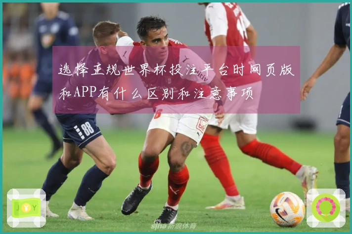 选择正规世界杯投注平台时网页版和APP有什么区别和注意事项
