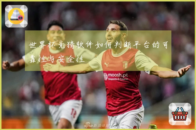 世界杯竞猜软件如何判断平台的可靠性与安全性